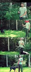 Dog Training - How to Work With Aggressive Dogs