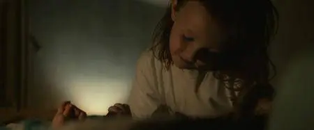 The Glass Castle (2017)