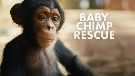 BBC - Baby Chimp Rescue (2020)