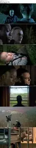 Punk Love / Fallen Angels (2006)