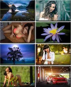 LIFEstyle News MiXture Images. Wallpapers Part (940)