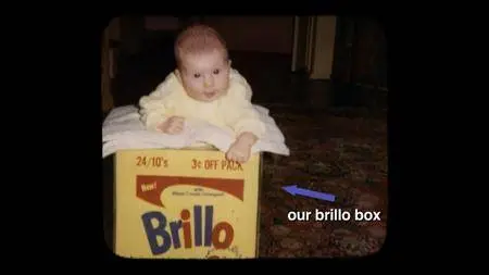 Brillo Box 3 Cents Off (2016)