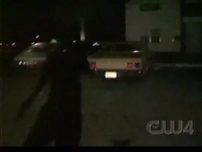 Cops S01E01