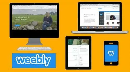 Learn to Build Professional Weebly Websites from a Kid
