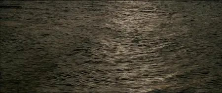 L'inconnu du lac (2013) Stranger by the Lake