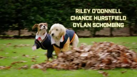 Pup Academy S01E16