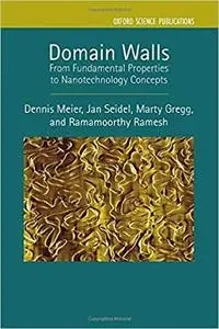 Domain Walls: From Fundamental Properties to Nanotechnology Concepts