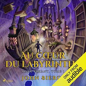 John Bierce, "Au cœur du labyrinthe: Mage errant", Tome 1