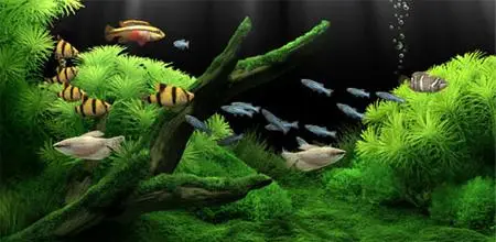 Dream Aquarium Screensaver 0.9994 Cracked