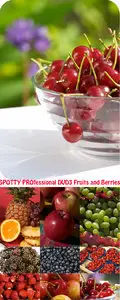 SPOTTY PROfessional DVD3 Fruits and Berries