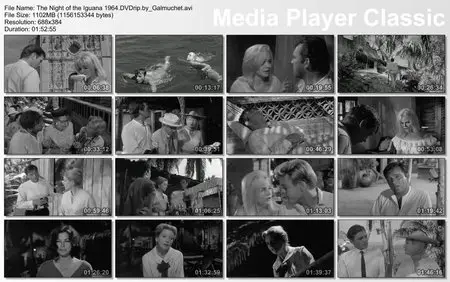 (Drama) The Night of the Iguana [DVDrip] 1964