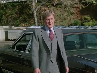 Murder, She Wrote S02E14