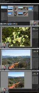 Learn Adobe Lightroom in 30 Minutes