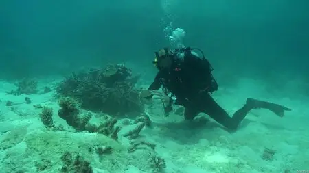 Great Barrier Reef (2012)