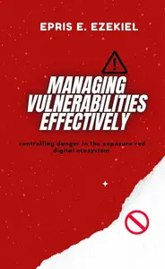 Managing Vulnerabilities Effectively: Controlling Danger in the Exposure-Red Digital Ecosystem