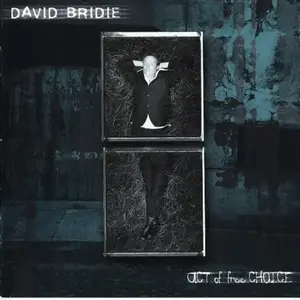 David Bridie - Act Of Free Choice (2000) [Reissue 2002] PS3 ISO + DSD64 + Hi-Res FLAC