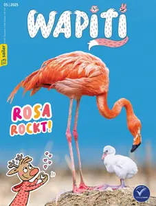 Wapiti - Mai 2025