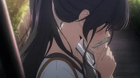 The Fragrant Flower Blooms With Dignity S01E13 Kaoruko And Rintaro