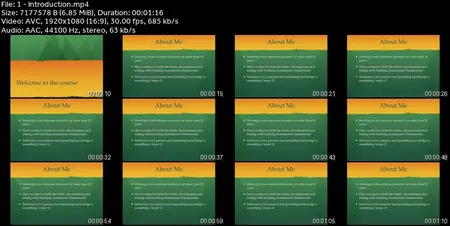 Selenium WebDriver 4 With Python - Novice To Ninja [2024]