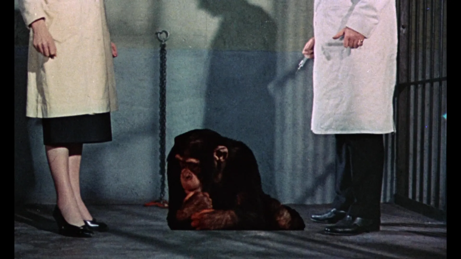 Konga (1961)