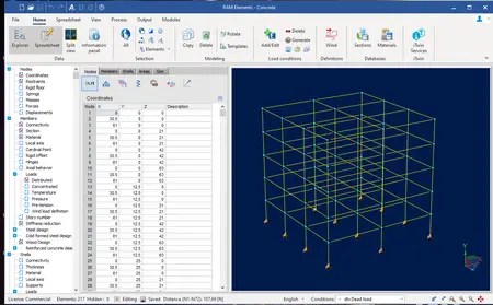 RAM Elements 2024 (24.00.04.05)