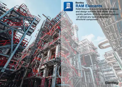 RAM Elements 2024 (24.00.04.05)