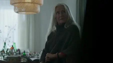 The Bridge S04E02