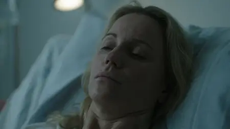 The Bridge S04E02