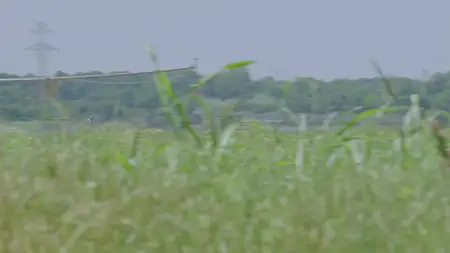 Queen of the South S03E11