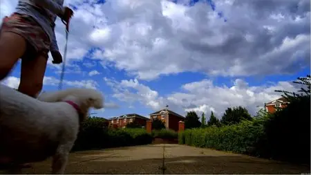 Child of Our Time (2013)