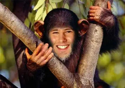 Template for Photoshop Monkey