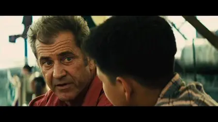 Get the Gringo (2012)