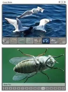 Thumb Gallery v2.0 (Flash Component)