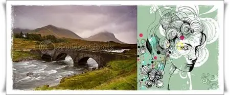 ShutterStock Free Vector & Image