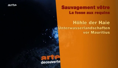 (Arte) Sauvagement Vôtre - 4 volets (2010)