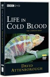 BBC Life In Cold Blood - Dragons of the Dry ( DVD 3/5 )