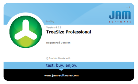 TreeSize Professional 6.3.3.1194 (x86/x64)