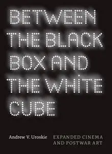 Between the Black Box and the White Cube: Expanded Cinema and Postwar Art(Repost)