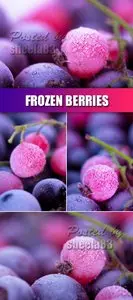 Stock Photo - Frozen Berries