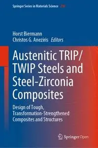 Austenitic TRIP/TWIP Steels and Steel-Zirconia Composites (Repost)
