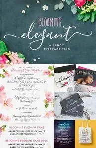 CreativeMarket - The Blooming Elegant Font Trio