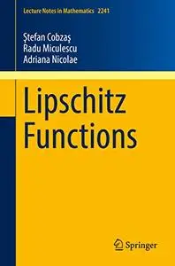 Lipschitz Functions (Repost)