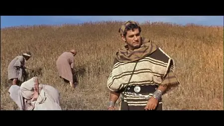 The Story of Ruth (1960) Special Edition