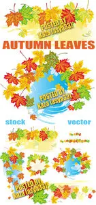 Autumn vector