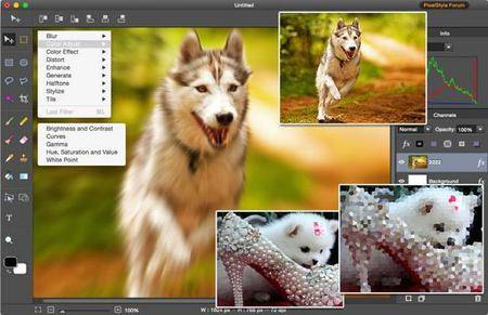 PixelStyle Photo Editor 2.95 Mac OS X
