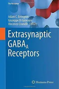 Extrasynaptic GABAA Receptors (Repost)