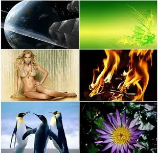 Amazing Wallpapers Collection-11
