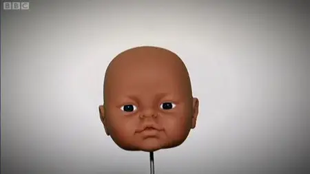 The Lifecycle - How TV Ruined Your Life