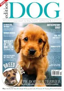 Edition Dog - Issue 10 - 25 July 2019