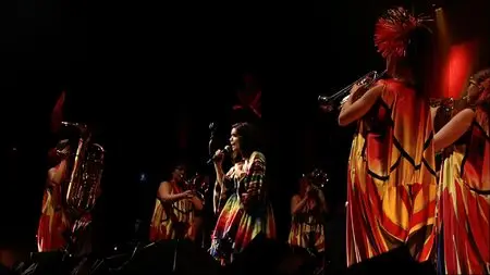 Bjork - The Volta Tour Live in Paris [HDTV 1080i]